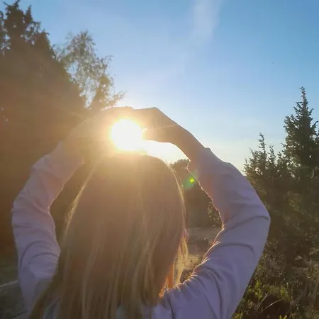 Dammann's Hof Apartman *