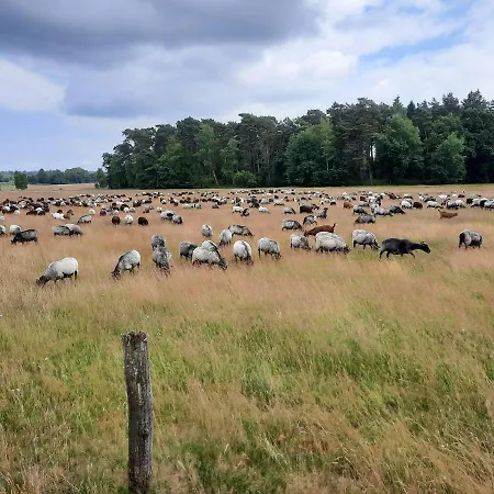 Dammann's Hof * Биспинген