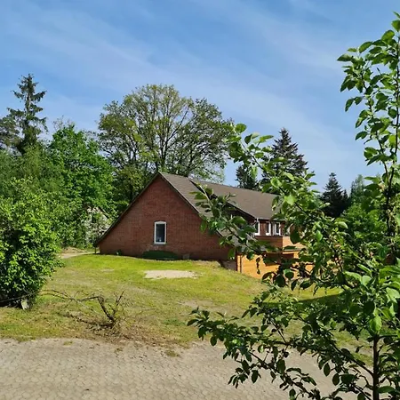 Dammann's Hof Apartman *