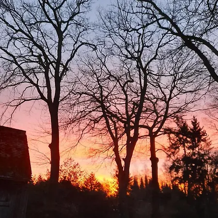 Dammann's Hof Апартаменты *