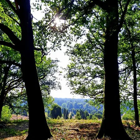 Dammann's Hof Apartman *