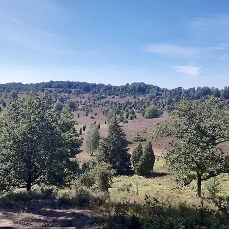 Dammann's Hof Apartman